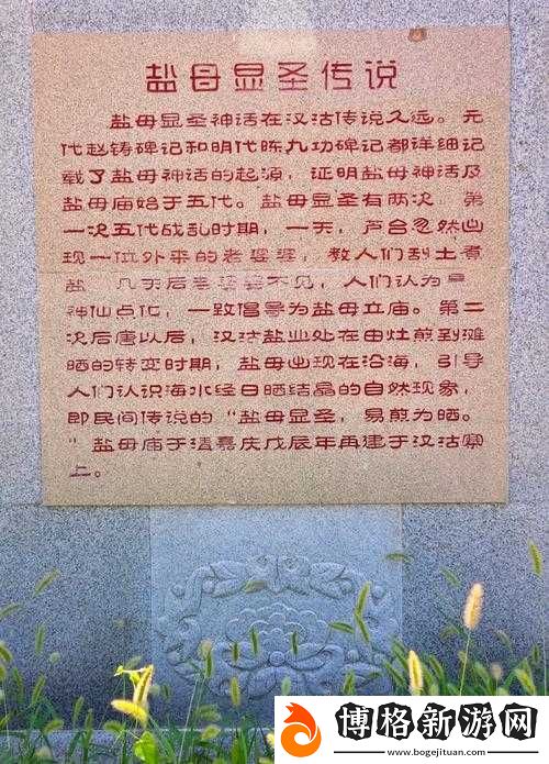 鹽母-16-哪里都看得見：探尋其無處不在的神秘蹤跡