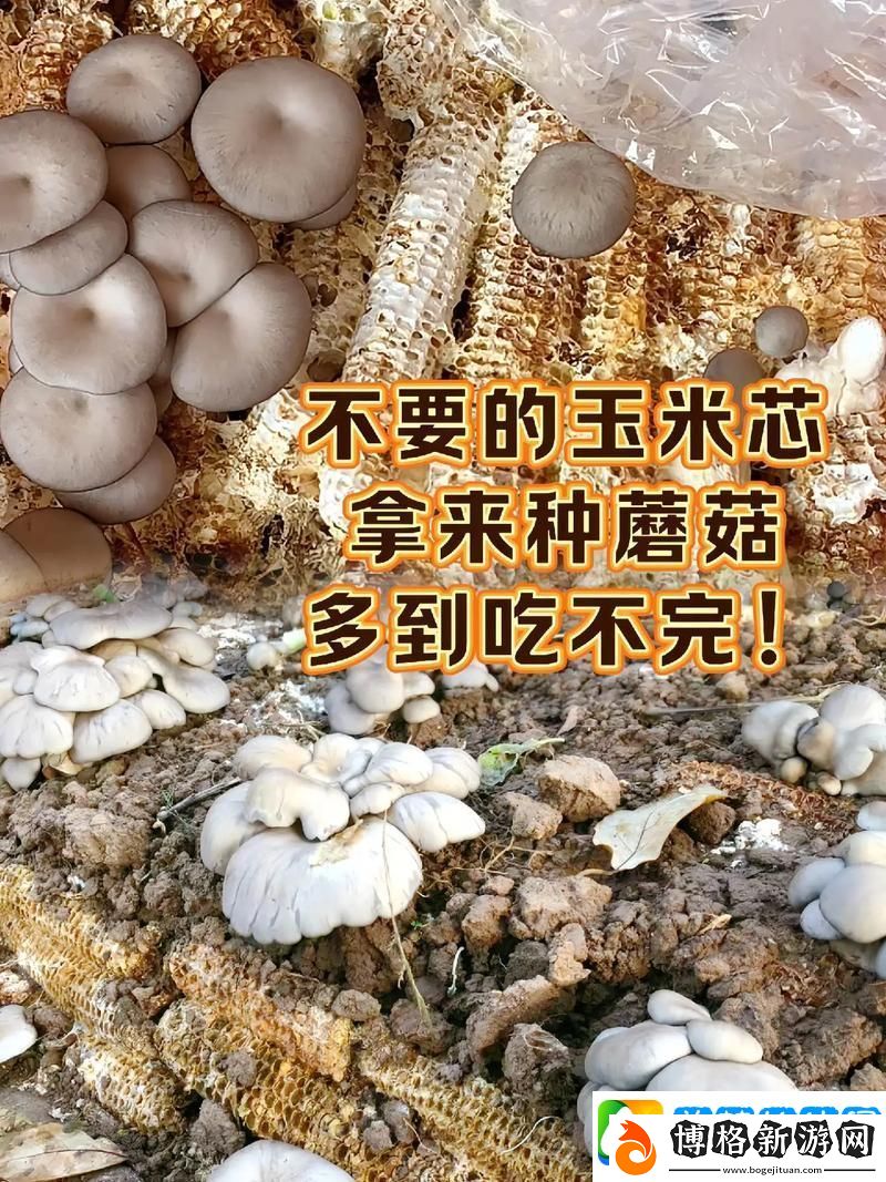 蘑幻科技潮：種菇新風尚