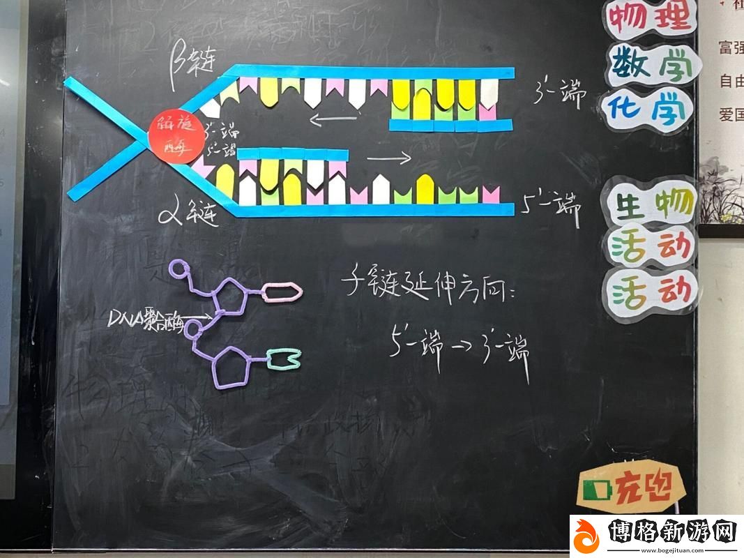 我成了生物課的教具篇1關(guān)鍵詞：小小觀察者