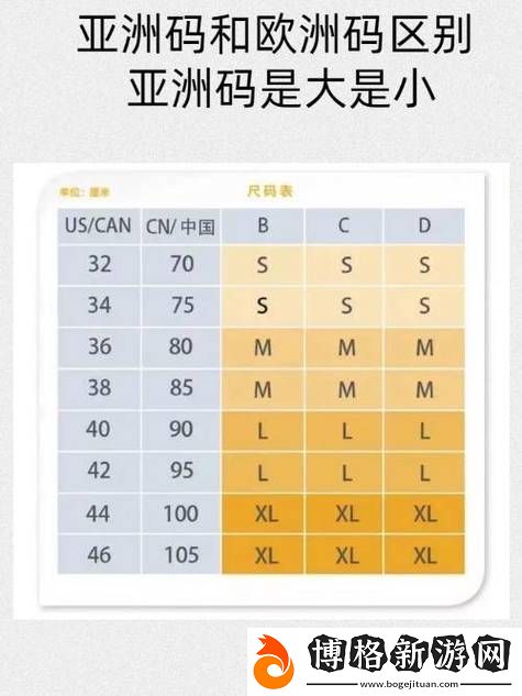 深入探討亞洲尺碼與歐洲尺碼的區別