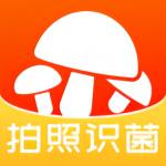 菌窩子app