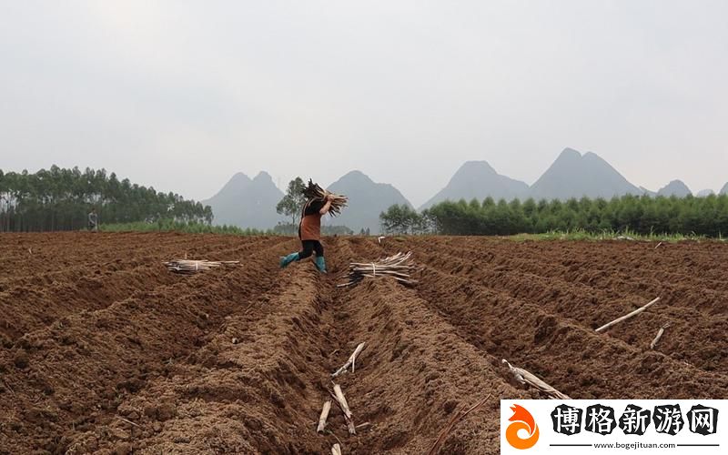 在“耕種姐姐的肥沃土地”中探索生命的力量