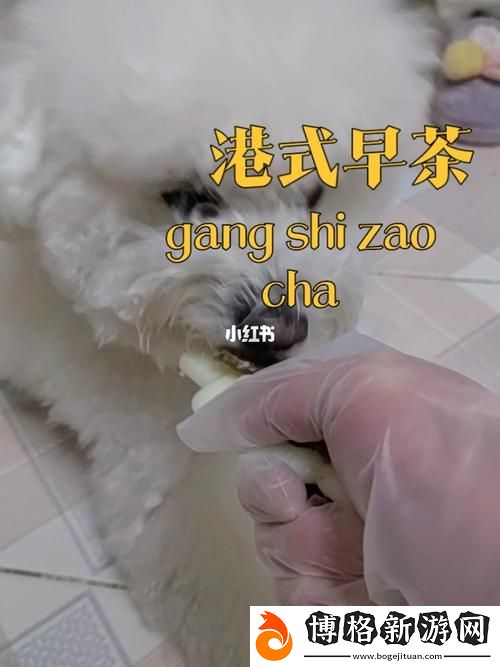 狗膠配方大全高清視頻：為您的愛犬定制健康零食