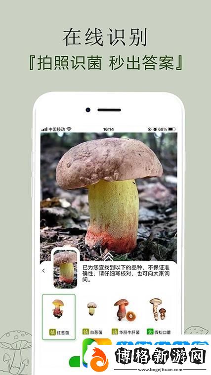 安全蘑菇app：開啟健康生活的新篇章