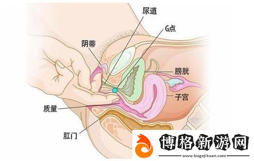 難道“大蔭蒂BBBBBB大蔭蒂”不正是我們追求的美好嗎