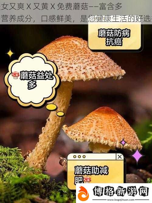 美女又爽X又黃X免費蘑菇——富含多種營養成分口感鮮美是您健康生活的好選擇