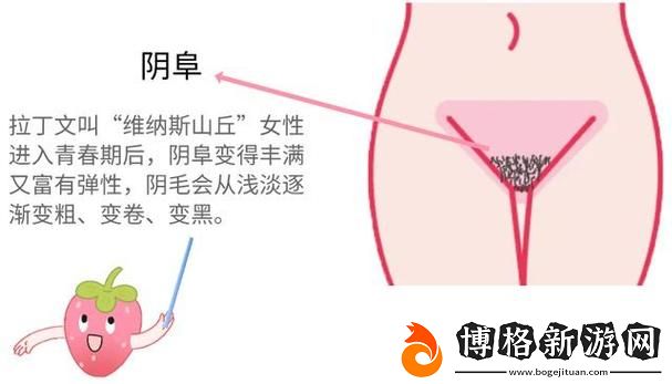 大蔭蒂BBBBBB大蔭蒂：探索生活中的細節與樂趣