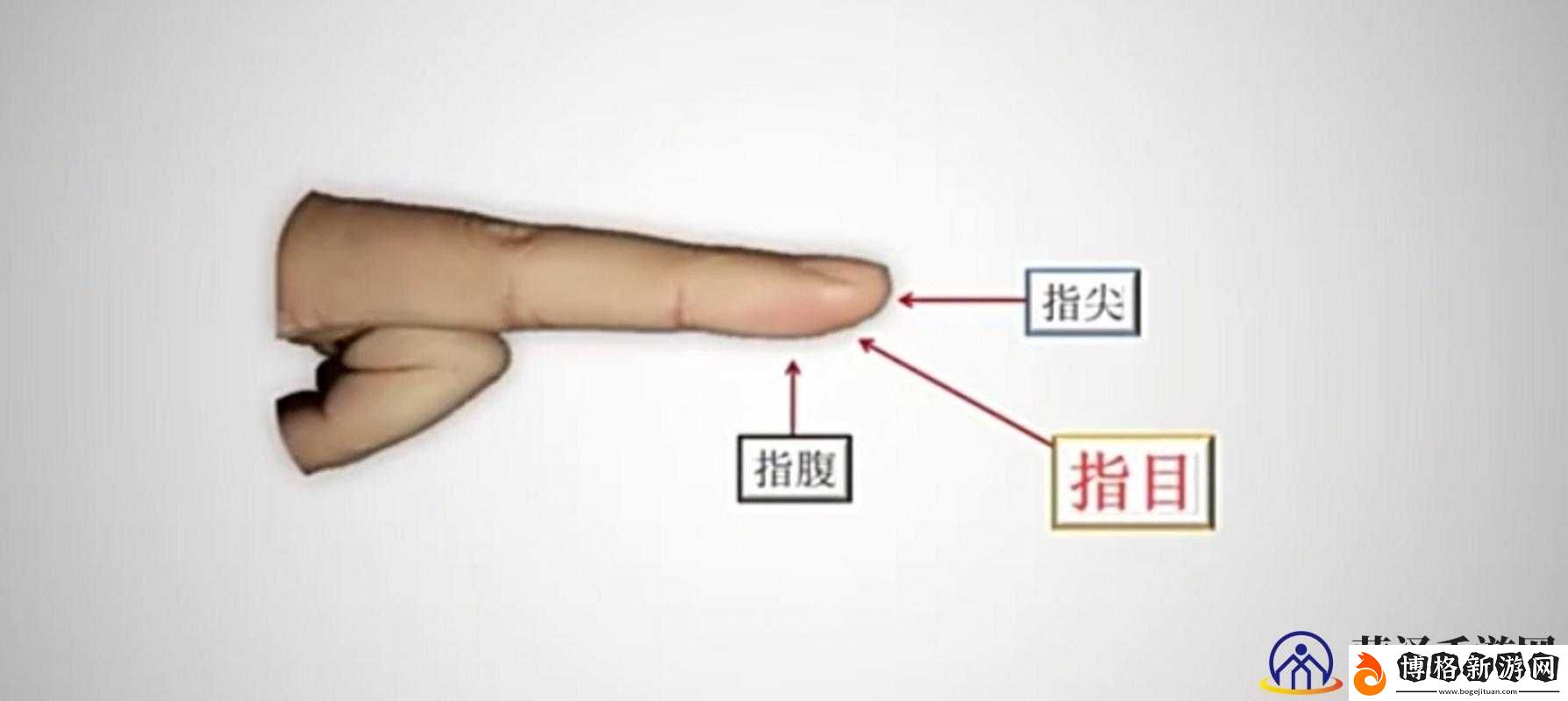 三指探洞和二指的區別是什么-詳解兩者的不同之處